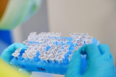 从“世界工厂”到“创新策源地” 解读政府工作报告中的广东科技创新跃迁之路